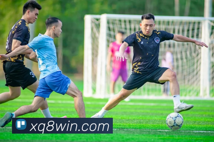 多媒体互动体验